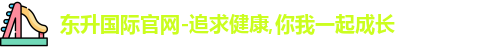 东升国际